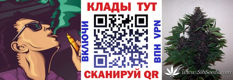 Купить наркотик аптеки Гаджиево СК  Экстази  Кокаин  Канабис 