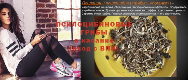 spice Володарск