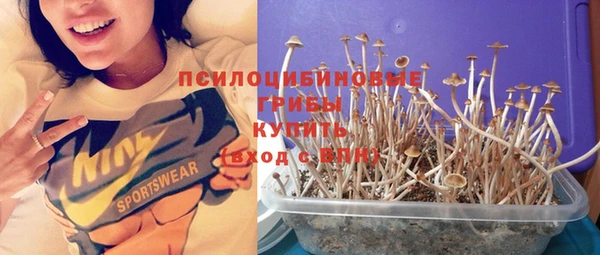 прущий лед Волосово